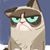 Jen Abraham Borst's profile image