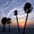 Florida Beach Rentals's profile image
