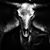 Mike Doyle's profile image