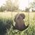 Marcia Behrle's profile image