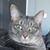 Karen Keyes's profile image