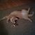 Bobbi Goranson's profile image