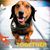 Buddy Styczynski-Bem's profile image