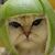 Mia Kat's profile image