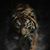 Linda White's profile image