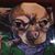 Sharon Richards's profile image