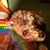 Mark Swessinger's profile image