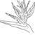 Gabrielle Ponsness's profile image