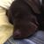 Natalie Conaway Whiteman's profile image