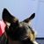 Kathleen M Petty's profile image