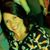 Dayse C. Nascimento's profile image