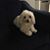 Dianne Reardon's profile image