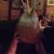 Rocio Vanessa Cazares's profile image