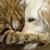 Fay Tahmassbi's profile image