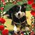 Dawn Ecker's profile image