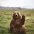 Rolando Rodo Fernandez's profile image