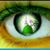 Kaleed Darabook's profile image
