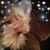 Jacqueline Dickison's profile image