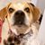 Sharon Hamilton Hagemann's profile image