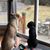 Tricia Weirzbicki Kirbey's profile image