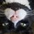 Dan Smith's profile image