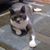 Kathy Poston's profile image