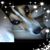 Karen Rominger's profile image