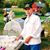 James Patrick Murphy Aprn's profile image