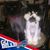Rodney Pfalzer's profile image