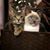 Laurie Kapreilian Shames's profile image