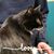 Kelly Turner Freve's profile image