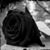 Ericka Laborin's profile image