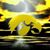 Karen Hacke's profile image