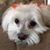 Janet Shannon's profile image