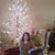 Debbie Siemering's profile image