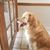 Cindy L Gipson's profile image