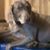 Doug Clemons's profile image