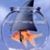 Ralph Price's profile image