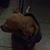 Zack Georgopul's profile image