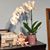 Molly Landmesser's profile image