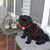 Debbie McNulty's profile image