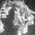 Randy Reed's profile image