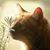 Glenda Klein's profile image