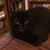 Theresa Lyn Klyne's profile image