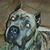 Terri Freiberger's profile image