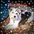 Carolyn Moore's profile image