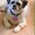 Bonnie Roberts Diemer's profile image
