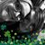 Tina Brittain's profile image