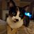 Samantha Bayles's profile image