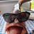 John Healey's profile image